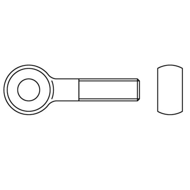 Olhal DIN444LB Fe Zinc. M10x100